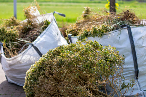 Best Household Junk Removal  in Downingtown, PA